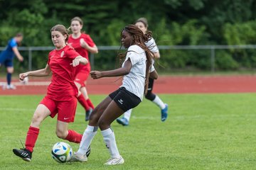 Bild 520 - Loewinnen Cup